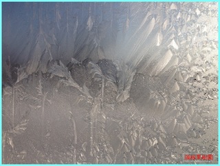 氷紋1_2012-1-4.JPG